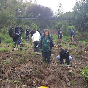 Western Springs College at work