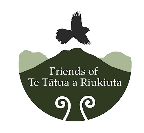 Friends of Te Tātua a Riukiuta (Big King) logo