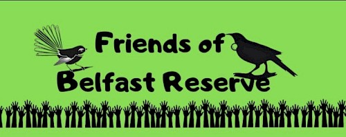 Friends of Belfast Reserve logo